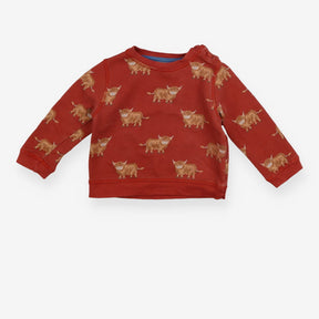 Rust jersey highland cow sweater