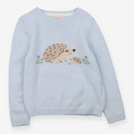 Sweater blue hedgehogs