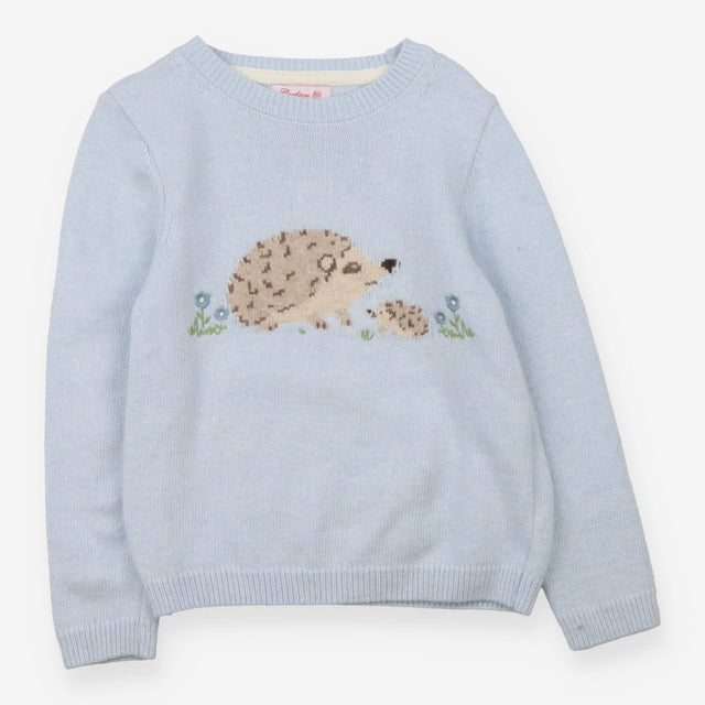 Sweater blue hedgehogs