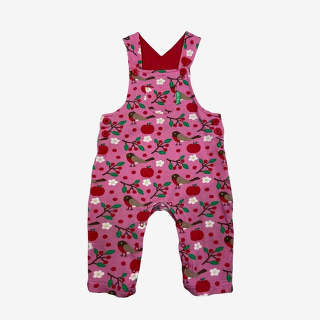 Pink Robin and Apple Jersey Dungarees