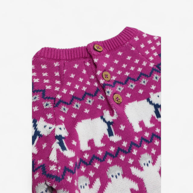 Purple Knit Dress with Polar Bears