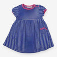 Blue Striped Dress Pink Lining 