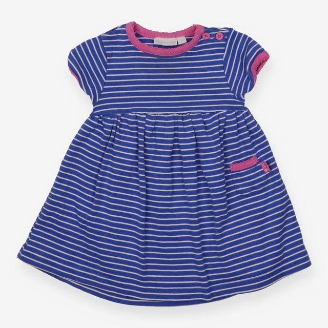 Blue Striped Dress Pink Lining 