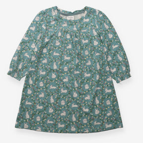 Nighty blue rabbit flowers