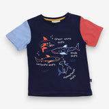 T-Shirt Navy Blue and Red Sleeves Shark Types