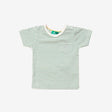 Green Striped Organic Short Sleeve T-Shirt