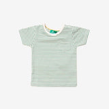 Green Striped Organic Short Sleeve T-Shirt