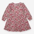 Dress Long Sleeve Pink - Raspberry Bush