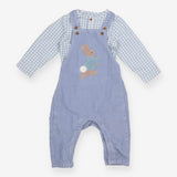 Blue Cord Peter Rabbit with Check Bodysuit Outfit