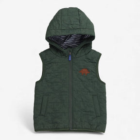Green dinosaur gilet, stripe lined 
