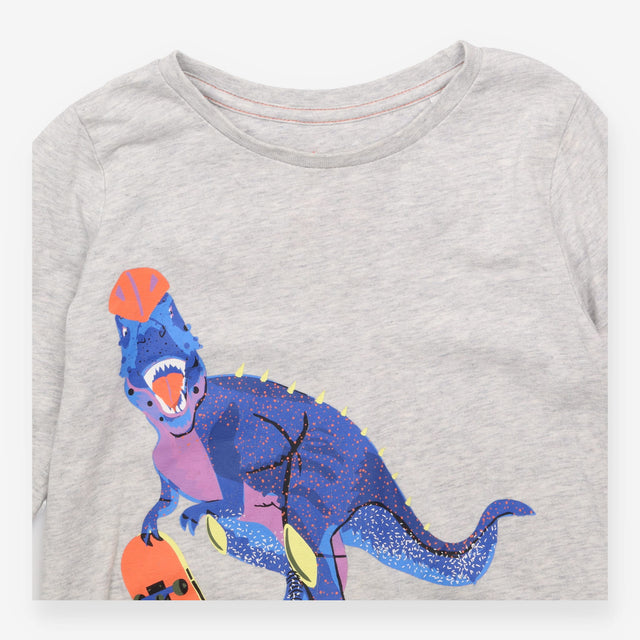 T-shirt Long Sleeve Grey Skateboarding Dinosaur