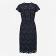 Dress Navy Blue Lace Floral Cap Sleeve Midi Round 