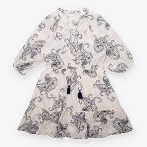 Dress Embroidered Paisley V Neck Tassel Mini