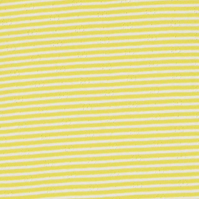 Bodysuit Long Sleeve Yellow Pointelle