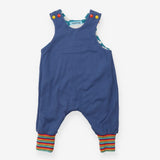 Wonderbugs Blue cloud reversible romper