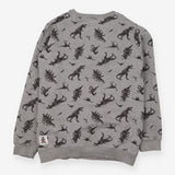 Grey dinosaur sweatshirt