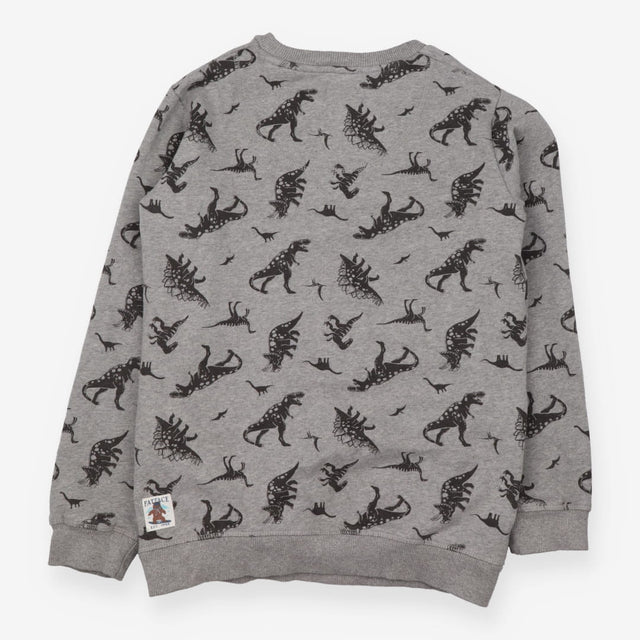 Grey dinosaur sweatshirt