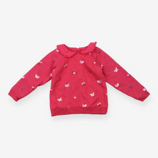 Sweater collar pink birds flowers