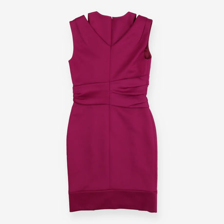 Tali Pink Sleeveless Tailored Occasion Dres