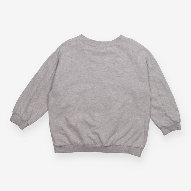 Jersey Sweater Grey Crocodile ''Be Wild''