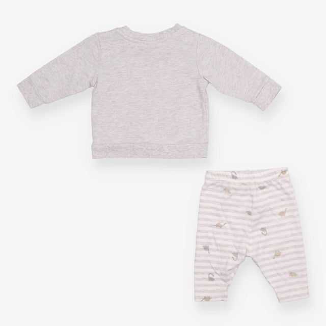 Outfit Grey LS tee  stripe leggings dinos