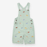 Green Plaid Dinosaur Dungarees