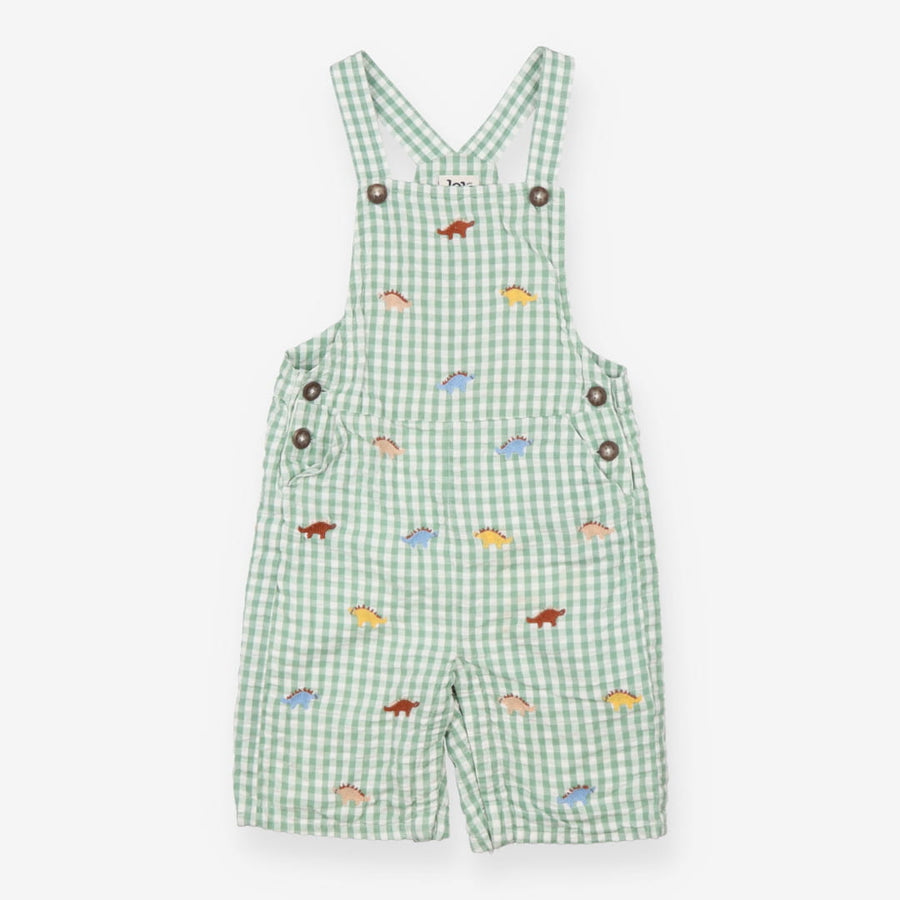 Green Plaid Dinosaur Dungarees