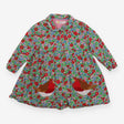 Collared Dress Green and Red Floral with Robins