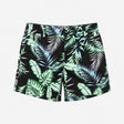 Black Green Tropical Leaf Print Shorts