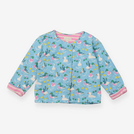Cardigan blue duck