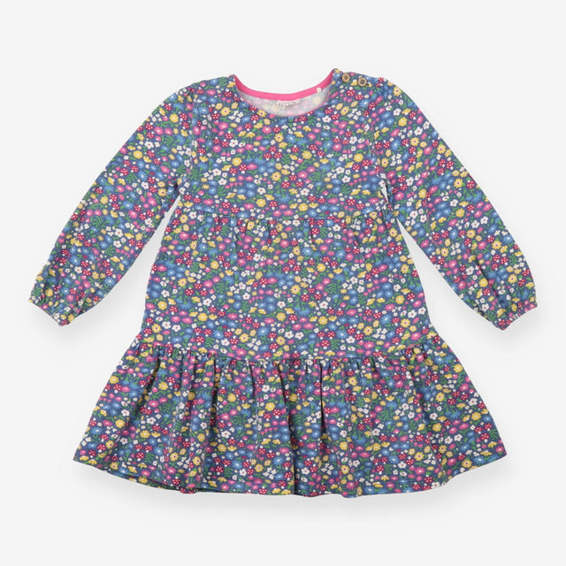 Dress Long Sleeved Blue Flowers and Toadstools