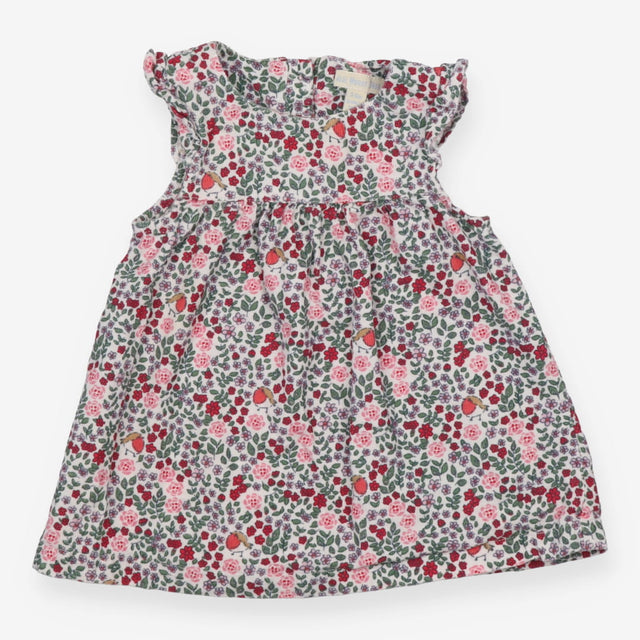 Cord Dress With Frill Sleeves, Floral and Robins
