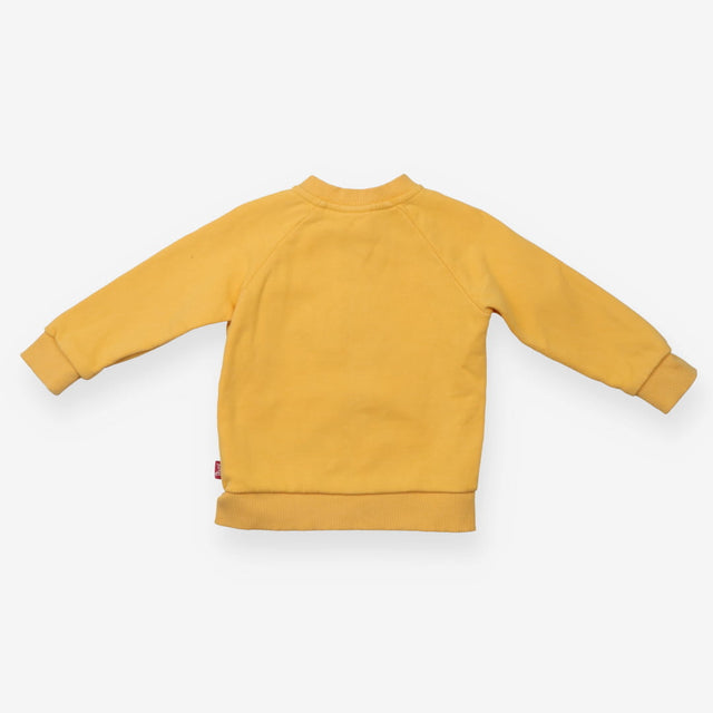 Hoodie Yellow Rainbow Turtle