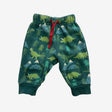 Green Dinosaur Mountain Joggers