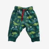 Green Dinosaur Mountain Joggers