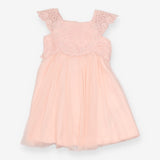 Dress pink lace top net skirt SS