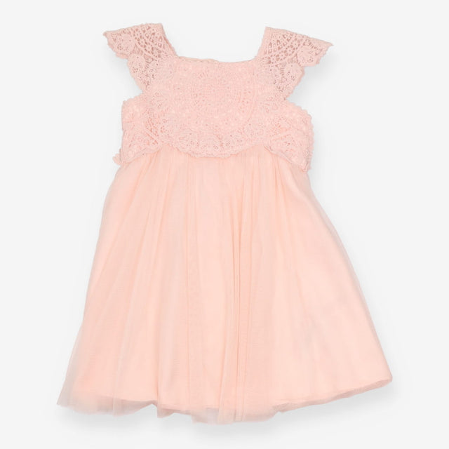Dress pink lace top net skirt SS
