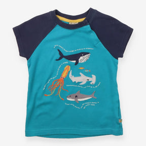 Blue Ocean Facts T-shirt