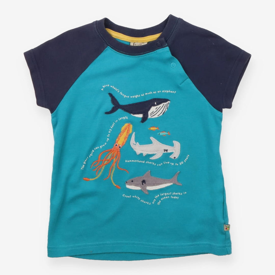 Blue Ocean Facts T-shirt