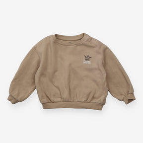 Beige tracksuit skateboarding dog