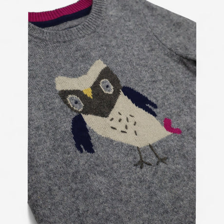 Jumper Dress Grey with Owl
