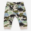 Joggers dinosaurs