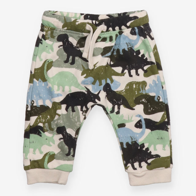 Joggers dinosaurs