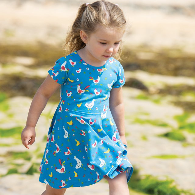 Bantam Skater Dress