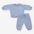 Tracksuit blue 3 embroidered dinos