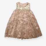 Dress Sleeveless Tulle Skirt Pink with Gold Sequin