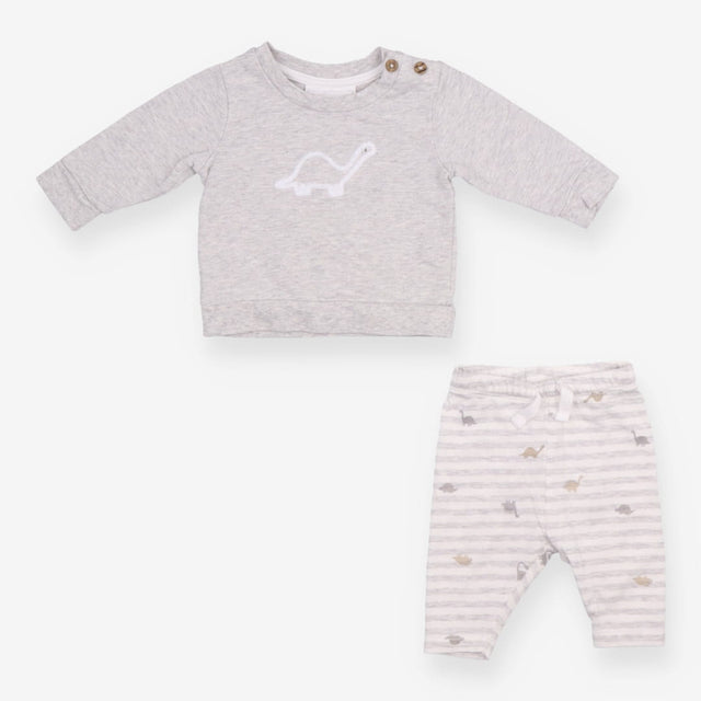 Outfit Grey LS tee  stripe leggings dinos