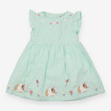 Green gingham guinea pig dress