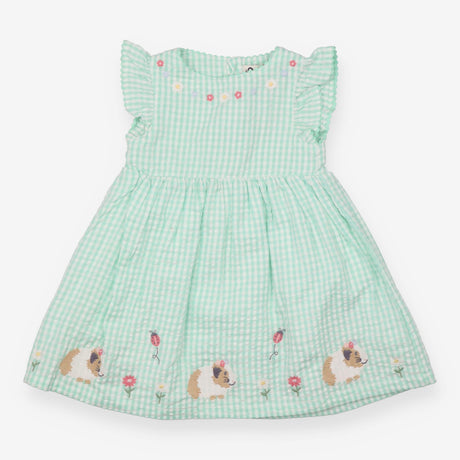 Green gingham guinea pig dress