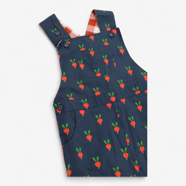 Blue Woven Radish Dungaree Check Lined